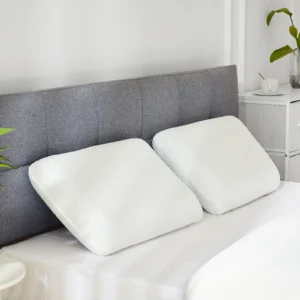 JHK 1-piece Memory Foam Pillows